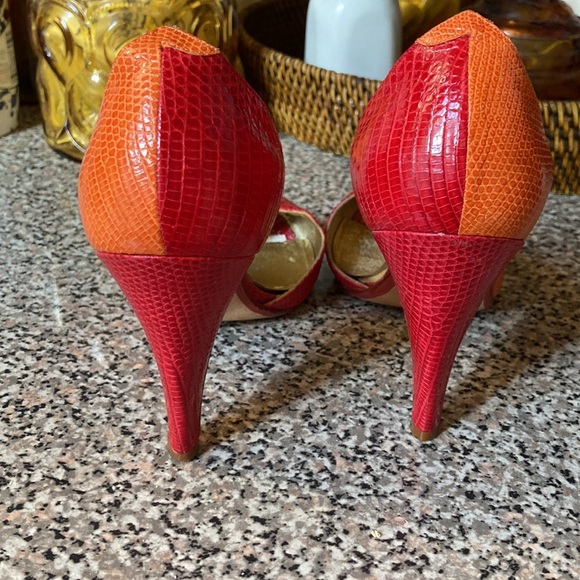 COLORFUL AND STUNNING! LIZARD AT ITS BEST! - Picture 3 of 6